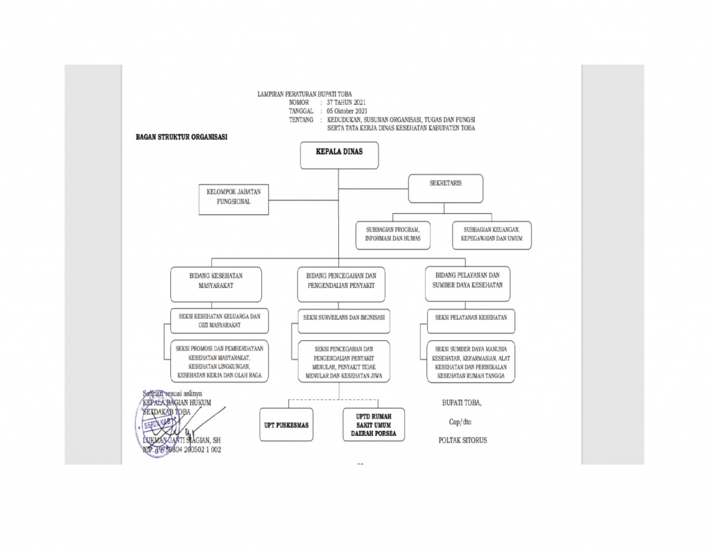Struktur Organisasi - Dinas Kesehatan