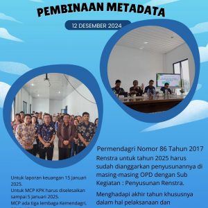 Pembinaan Metadata Tahun 2024