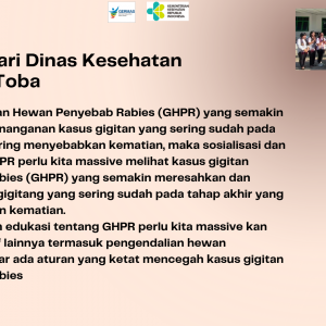 Waspada Rabies Kenali Penyebab Gejala dan Cara Penanganan